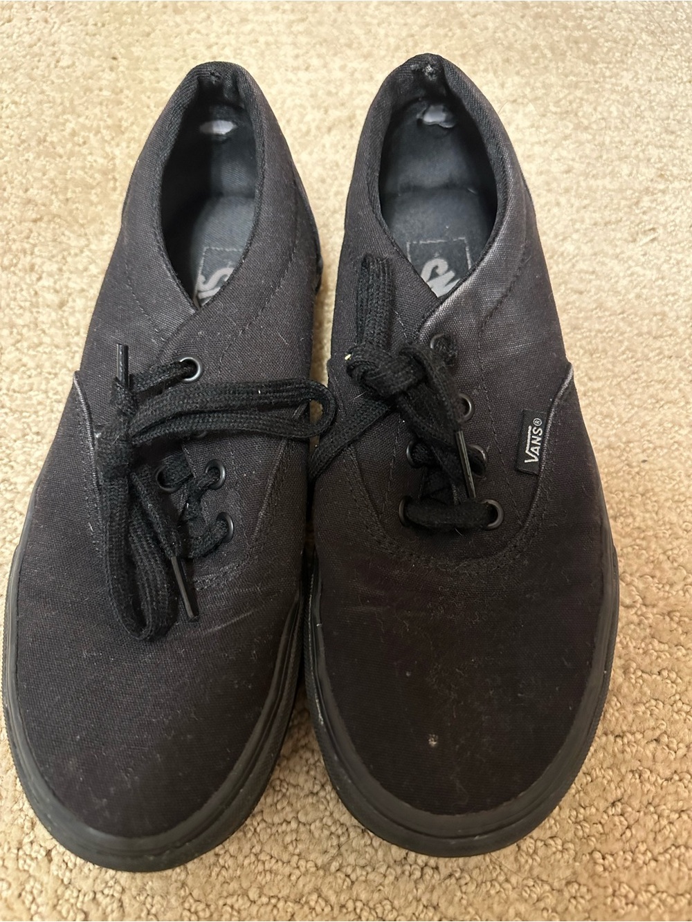 Vans Black Canvas Low-Top Sneakers